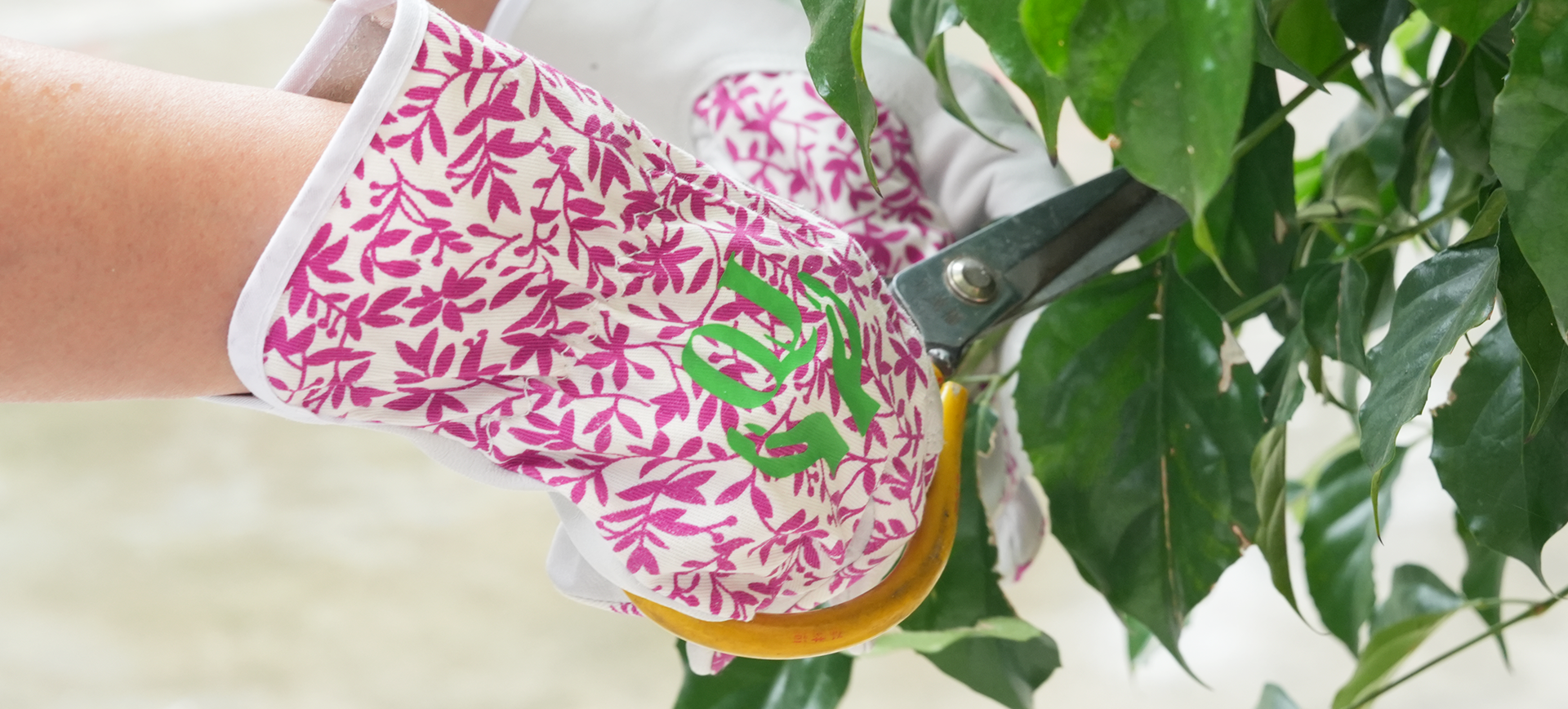 Nantong Qiji Glove Co., Ltd.