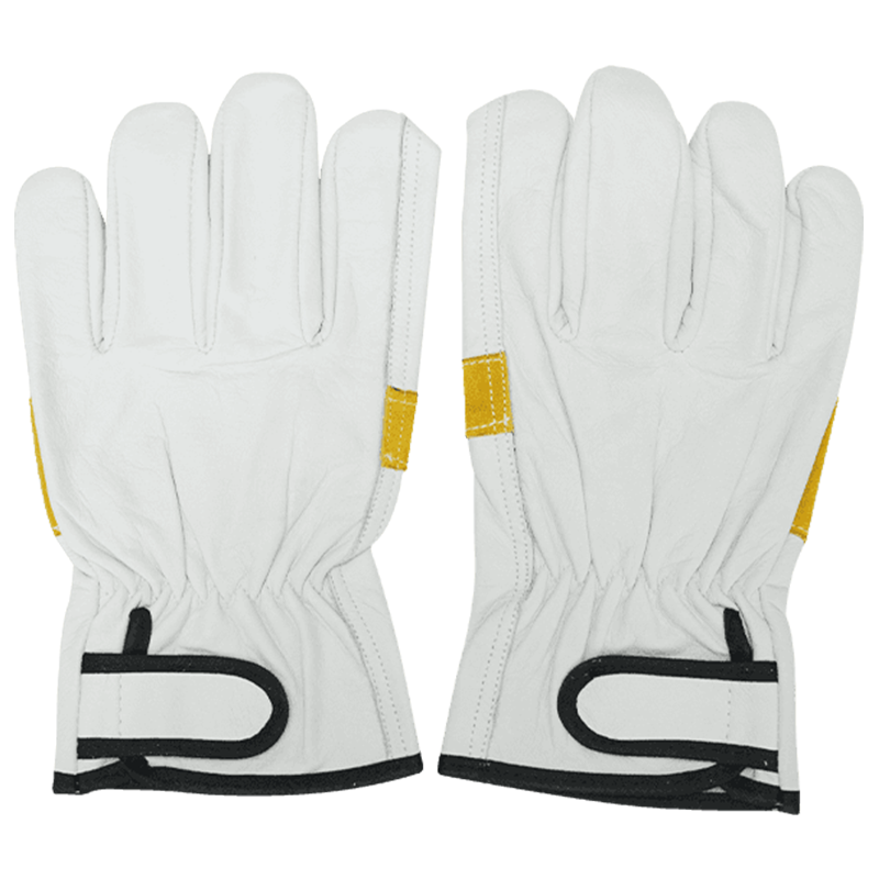 Touching Screen Goatskin Gloves